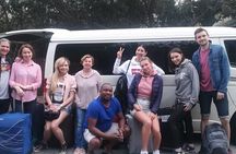 Best Of The Cape Full Day Tour