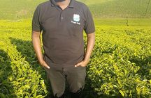 Best Of The Cape Full Day Tour