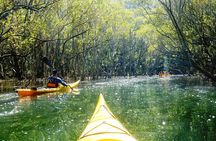 Self-Guided Sydney Middle Harbour Kayak 3 Hour Tour by Single Kayak