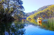 Half-Day Sydney Middle Harbour Guided Kayaking Eco Tour 