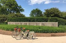 Chicago Lakefront Electric Bike Tour