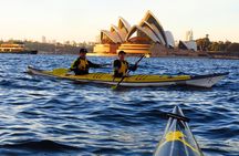 Beautiful Sydney Harbour Breakfast Kayaking Tour