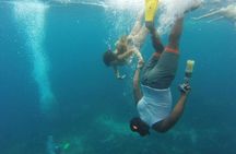 Catalina Island+Snorkeling
