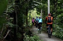 HD-06 Bang KraChao, zigzag through the lung of Bangkok by bicycle