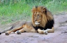 6 Days Budget Camping Tanzania Safari Highlights