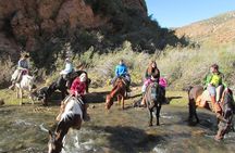 Full day ride at the foot of The Andes 