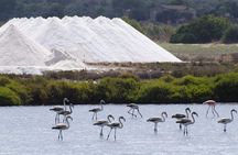 Ibiza Island Tour: Punta Arabi Local Market