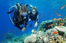 Try Scuba Diving In Havlock