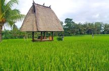 All-Inclusive Ubud Private Tour
