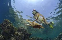Orange Bay Island Snorkeling Trip From Hurghada