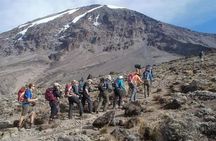 8 Days Mount Kilimanjaro Lemosho Route Climb