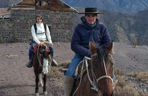 Horseback Ride in the Andes Mountain - Private tour from Santiago
