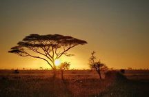 3 Days Ngorongoro and Serengeti Mid Range Safaris