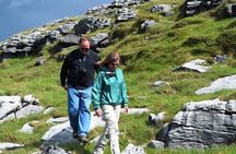 Small Group - Cliffs Cruise, Aran Islands AND Connemara in One Day from Galway