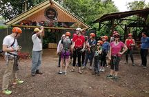 MINDO CLOUD FOREST - Nature & Birds - Personalized Experience