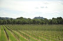 Ribera del Duero Wineries Guided Tour & Wine Tasting from Madrid