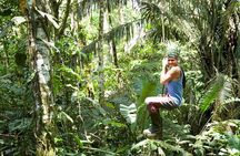 Tropical Escape: 3 Days Amazon Rainforest Tour from Quito