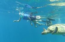 Snorkeling with Turtles on Gili Trawangan
