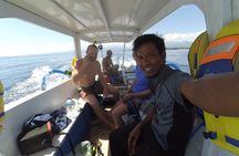Snorkeling with Turtles on Gili Trawangan