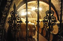 Ribera del Duero Wineries Guided Tour & Wine Tasting from Madrid