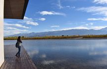 Uco Valley Wine Tour