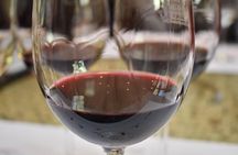 Uco Valley Wine Tour