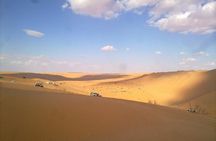 Dune Safari,Sand boarding, Camel ride, Sealine and Inlands sea 
