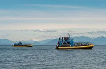 Whale-Watching Tour from Vancouver