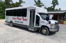 Manchac Swamp Boat Tour with Shuttle Service from New Orleans