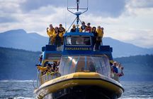 Whale-Watching Tour from Vancouver