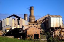 Kahului Shore Excursion: Private Tropics of Maui & Rainforest 