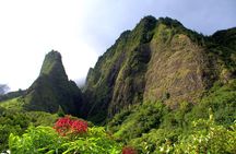 Private Shore Excursion: Best Highlights of Maui