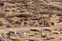 Andes Mountain Tour Circuit Mt Aconcagua