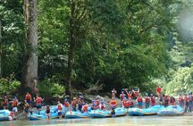 White Water Rafting Reventazón River From Puerto Viejo |Limon