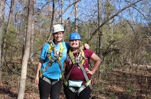 Small-Group Zipline Tour in Hot Springs