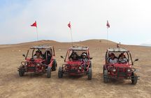 Buggy Tour Paracas National Reserve