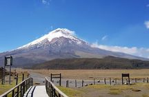 Cotopaxi & Quilotoa Volcanoes Tour All-in-One Day Trip from Quito