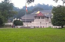 Kandy Day Tour From Colombo