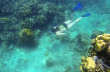 Snorkeling on The Caribbean side of Panama