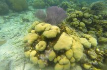 Snorkeling on The Caribbean side of Panama