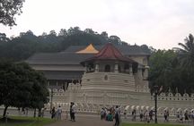  3 Day Privet Tour To Kandy & Sigiriya From Colombo