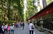 Daytrip to Nikko from Tokyo with local Japanese Photograher guide