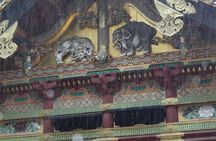 Daytrip to Nikko from Tokyo with local Japanese Photograher guide