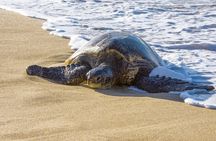 Private Best Highlights of Maui