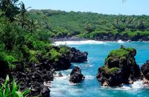 Famous Road to Hana Mercedes van with Waterfalls, Black Sand Beach & Lunch 