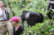 5 days gorilla & Wildlife safari in Uganda