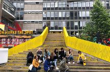 Rotterdam Architecture Highlights Walking Tour 