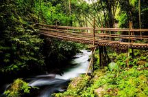 Waterfalls Tour