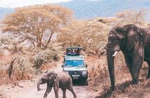 tarangire & ngorongoro 2 days tour