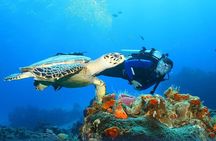 Best Egypt Holiday Cairo & Nile Cruise & Hurghada Red Sea 10 Days with Flights